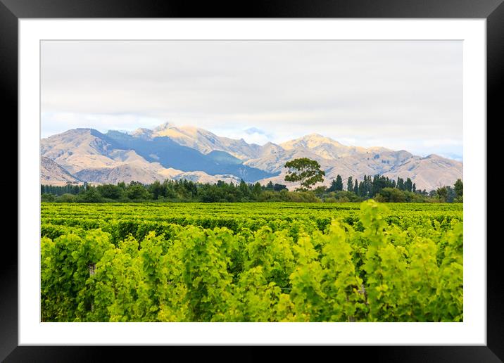 The Kaikoura mountains Framed Mounted Print by Kevin Hellon
