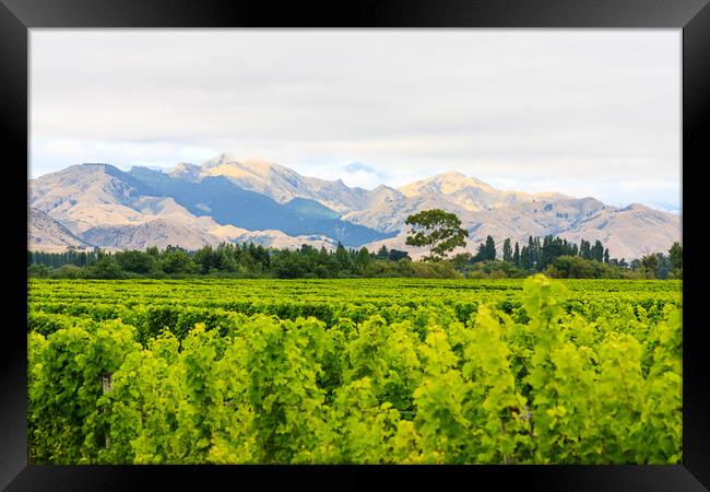 The Kaikoura mountains Framed Print by Kevin Hellon