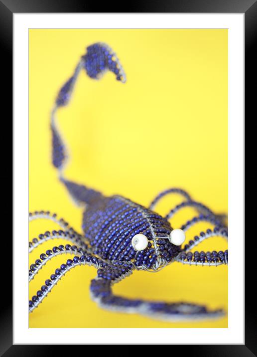 African Wire Scorpion Framed Mounted Print by Neil Overy