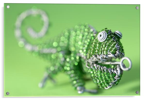 African Wire Chameleon Acrylic by Neil Overy