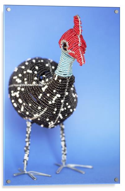 African Wire Guinea Fowl Acrylic by Neil Overy