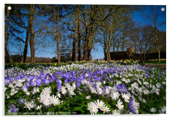 Thornton Manor Wild Flowers Fields Acrylic by Liam Neon