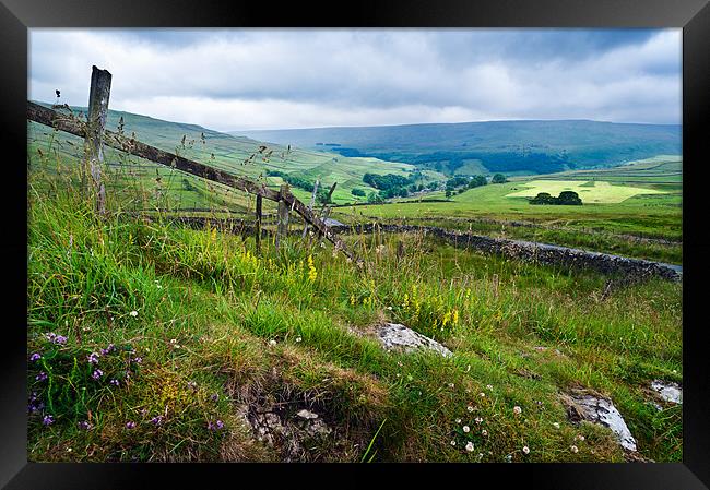 Wood and stone Framed Print by Stephen Mole