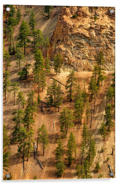 Fallen Trees, Thompson Canyon, Canada Acrylic by Mark Llewellyn