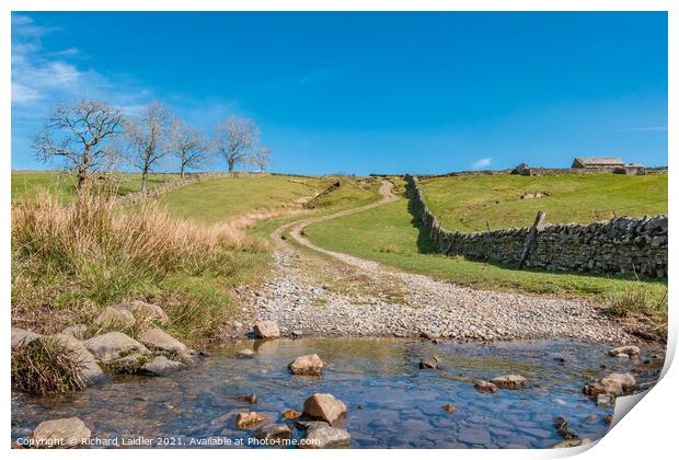 Track Over to Coldberry, Teesdale Print by Richard Laidler