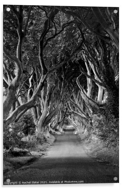 Tree lined avenue  Acrylic by Rachel Harris