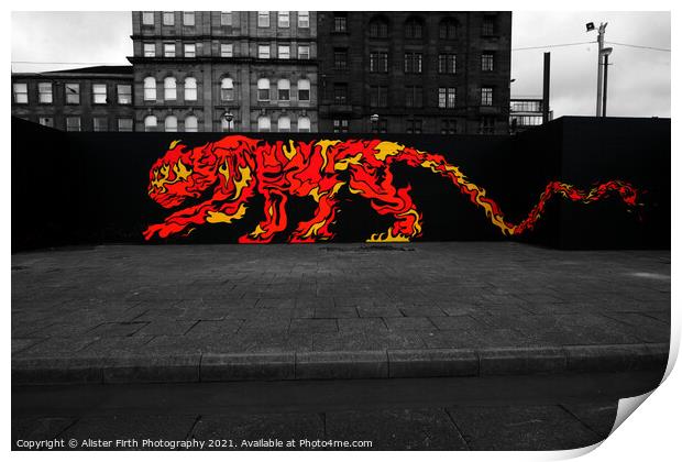 Urban Tiger Print by Alister Firth Photography