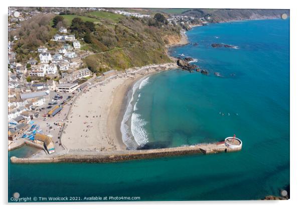 Aerial photograph of Looe, Cornwall, England. Acrylic by Tim Woolcock