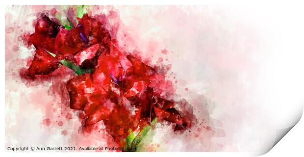 A Mess of Red Gladioli Print by Ann Garrett