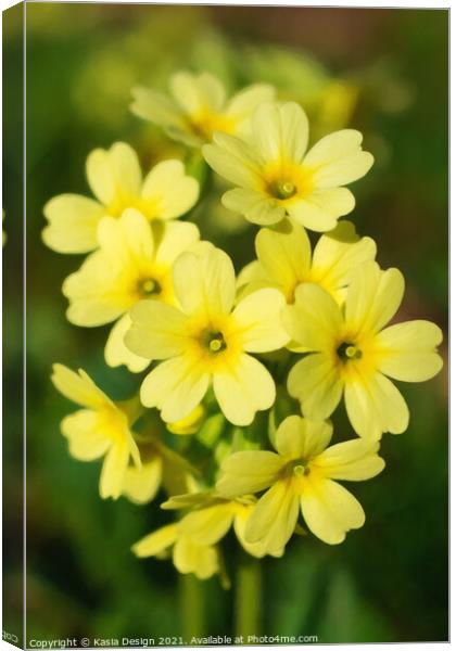 A Touch of Spring - Cowslip Canvas Print by Kasia Design