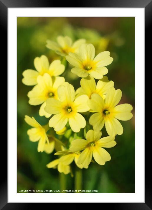 A Touch of Spring - Cowslip Framed Mounted Print by Kasia Design