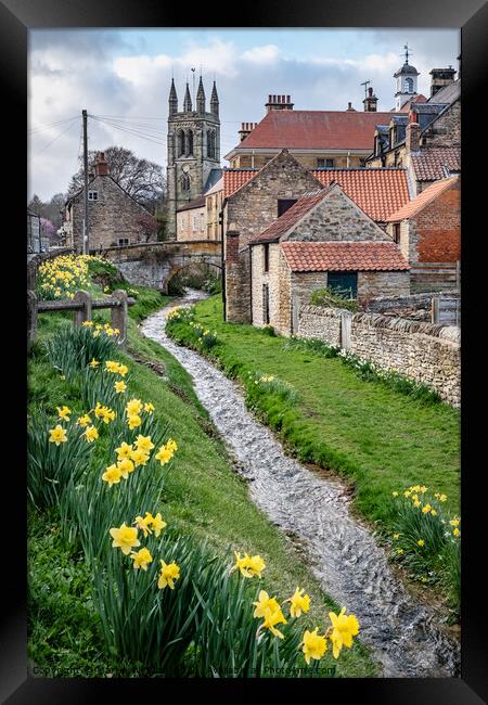 Spring daffodils by the beck in Helmsley, North Yorkshire Framed Print by Martin Williams