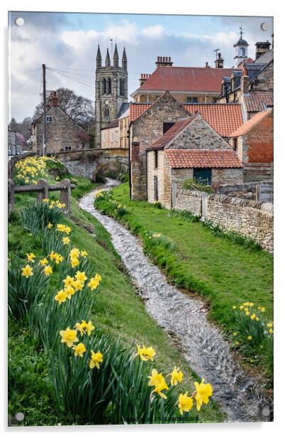 Spring daffodils by the beck in Helmsley, North Yorkshire Acrylic by Martin Williams