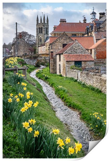 Spring daffodils by the beck in Helmsley, North Yorkshire Print by Martin Williams