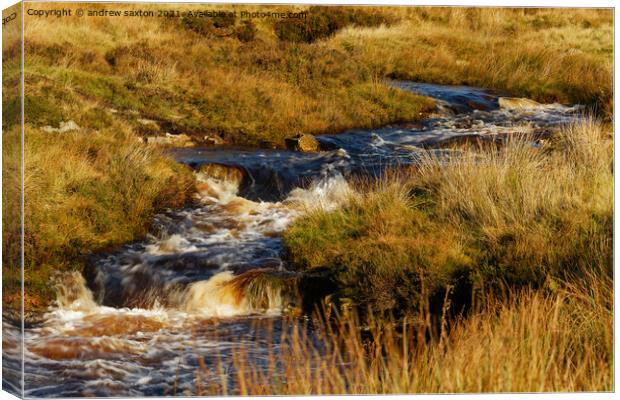 WATER IN MOORS Canvas Print by andrew saxton