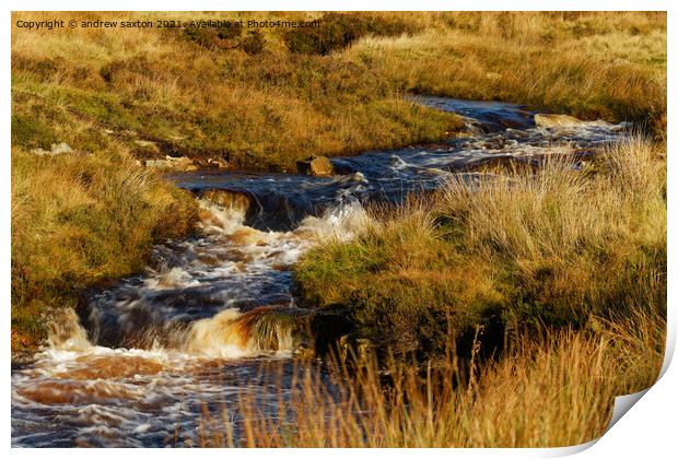 WATER IN MOORS Print by andrew saxton