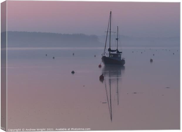 Dusky Pink Canvas Print by Andrew Wright