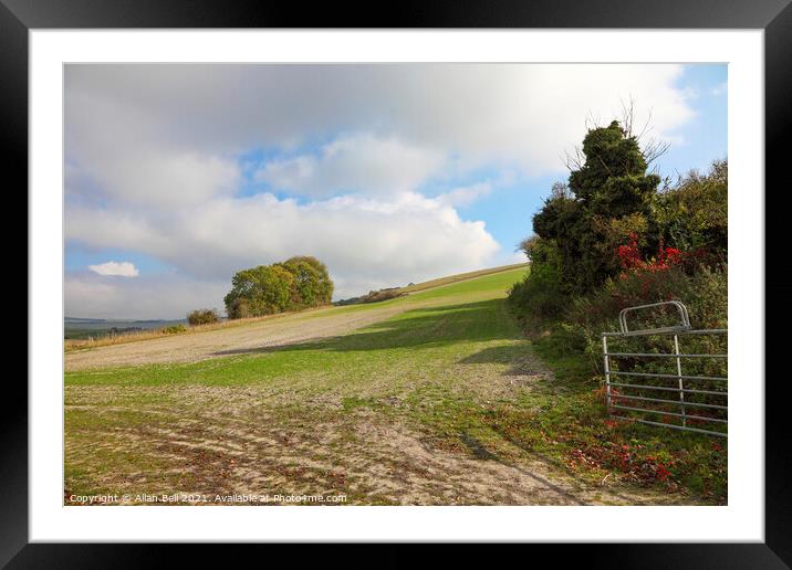 South Downs Framed Mounted Print by Allan Bell