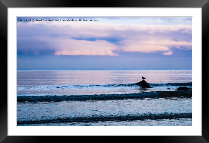 Gull on a Rock in Sea at Dusk Framed Mounted Print by Pearl Bucknall