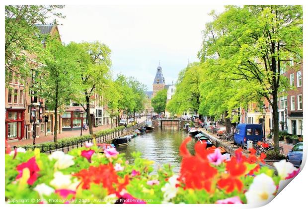 amsterdam, holland, street and canal Print by M. J. Photography