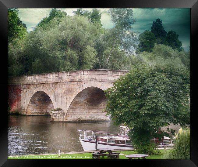 Henley Bridge on river Thames Framed Print by Luisa Vallon Fumi