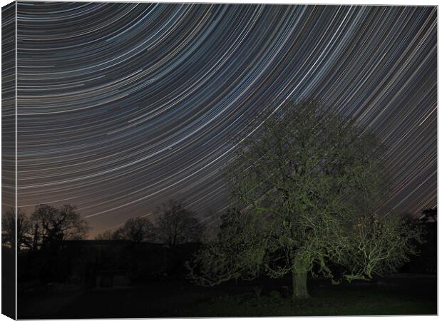 Easter stars over conker tree Canvas Print by mark humpage