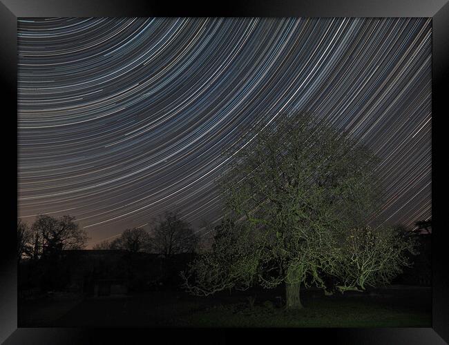 Easter stars over conker tree Framed Print by mark humpage