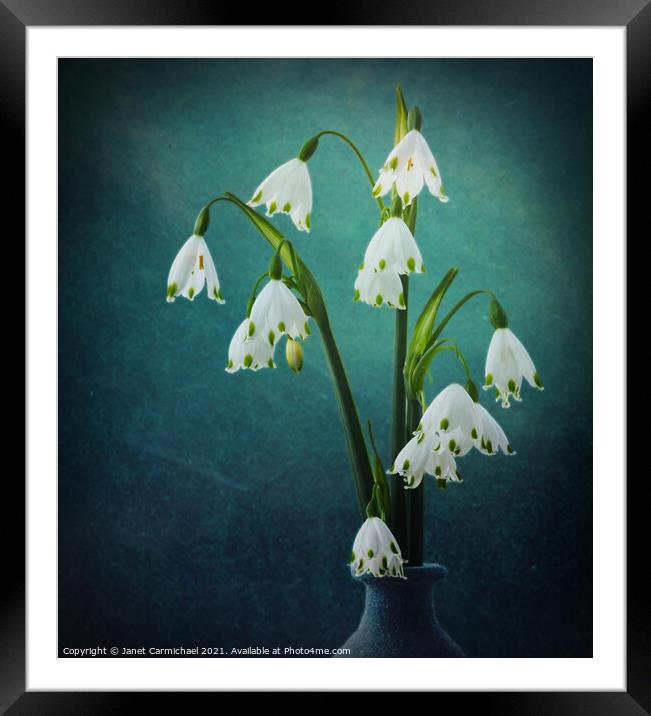 Cool Blue Beauty Framed Mounted Print by Janet Carmichael