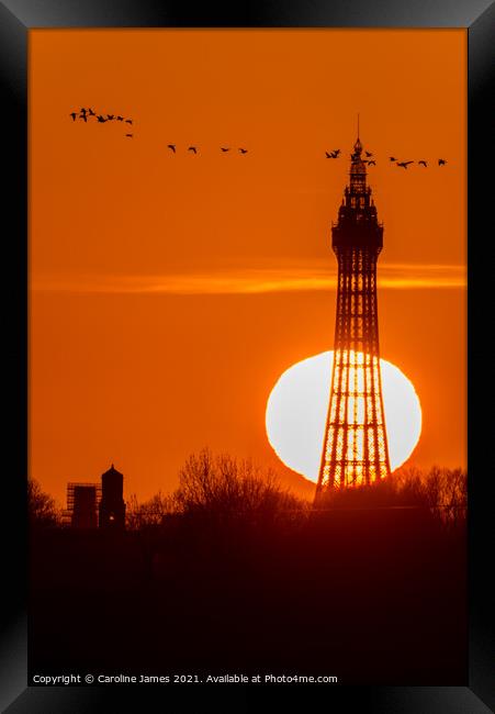 Sunset Tower Blackpool  Framed Print by Caroline James