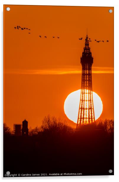 Sunset Tower Blackpool  Acrylic by Caroline James