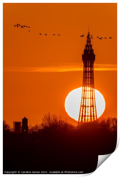 Sunset Tower Blackpool  Print by Caroline James