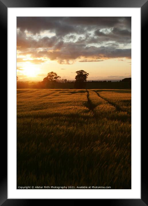Golden Hour  Framed Mounted Print by Alister Firth Photography