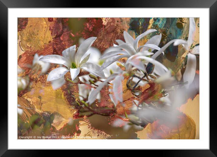 Magnolia Wadas Memory Framed Mounted Print by Joy Walker