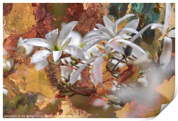Magnolia Wadas Memory Print by Joy Walker