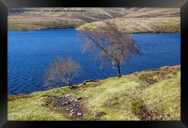 Trees at the Grwyne Fawr Reservoir Black Mountains Framed Print by Nick Jenkins
