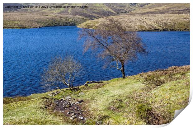 Trees at the Grwyne Fawr Reservoir Black Mountains Print by Nick Jenkins