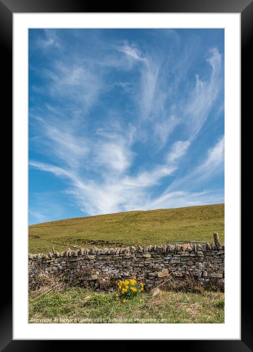 Cirrus and Daffs Framed Mounted Print by Richard Laidler