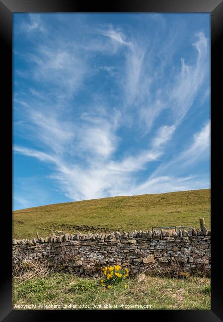 Cirrus and Daffs Framed Print by Richard Laidler