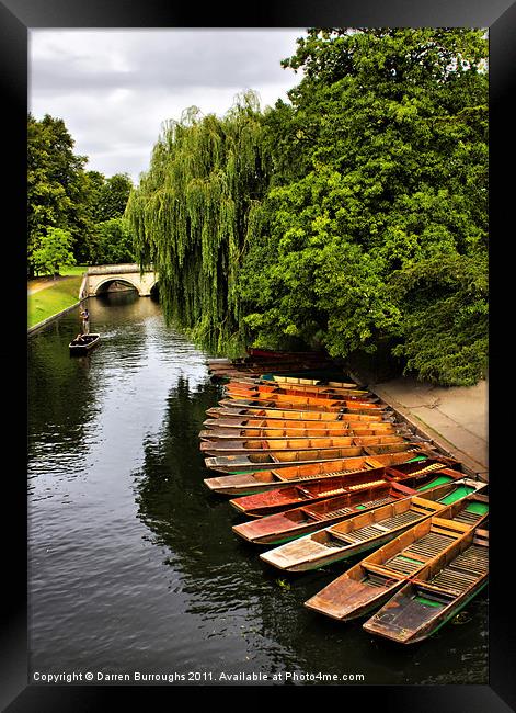 Punting On The Cam, Cambridge. Framed Print by Darren Burroughs