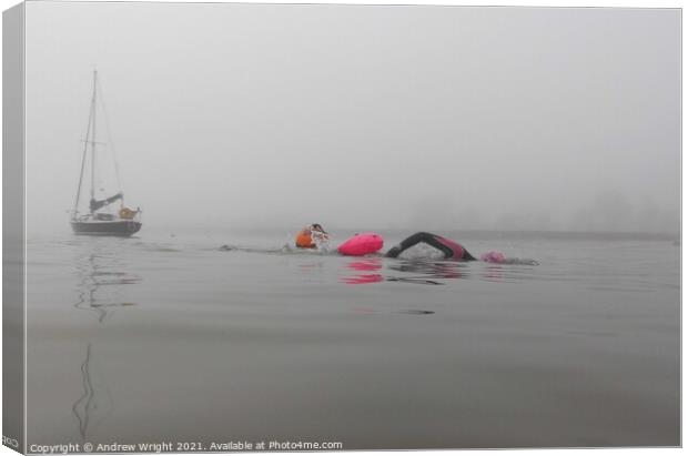 Misty Morning February Swim Canvas Print by Andrew Wright