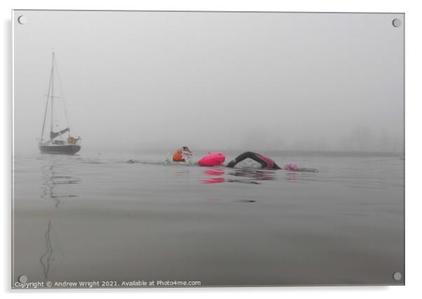 Misty Morning February Swim Acrylic by Andrew Wright