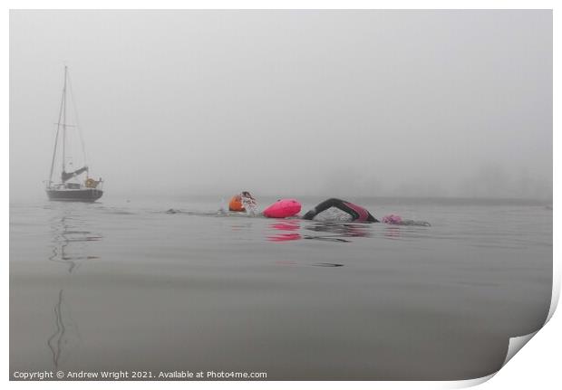 Misty Morning February Swim Print by Andrew Wright