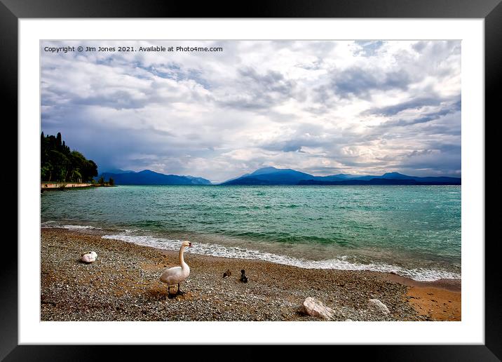 Swans View of Lake Garda Framed Mounted Print by Jim Jones