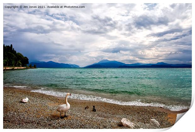 Swans View of Lake Garda Print by Jim Jones