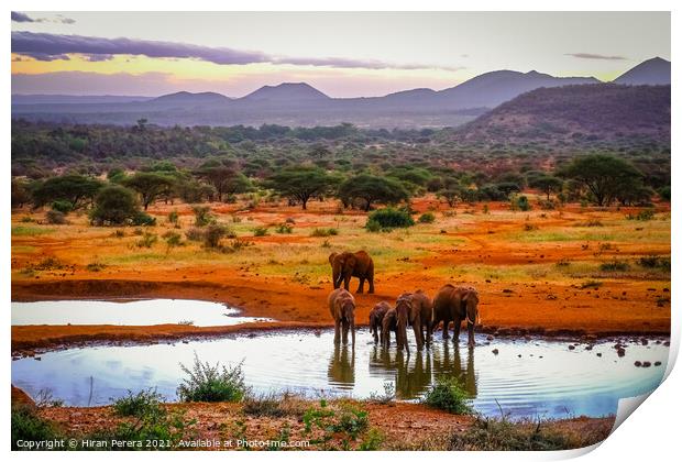 Elephants at the Waterhole, Kenya Print by Hiran Perera