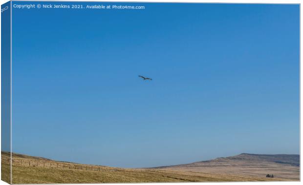 Red Kite Milvus Milvus flying over the Black Mount Canvas Print by Nick Jenkins