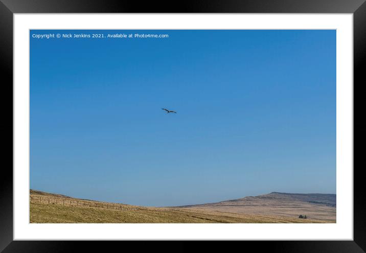 Red Kite Milvus Milvus flying over the Black Mount Framed Mounted Print by Nick Jenkins