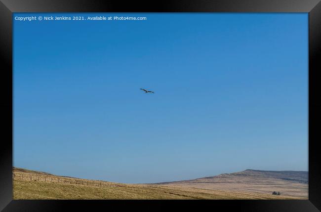 Red Kite Milvus Milvus flying over the Black Mount Framed Print by Nick Jenkins