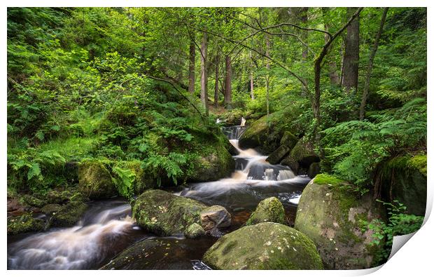 Wyming Brook nature reserve, Sheffield, Yorkshire Print by Andrew Kearton