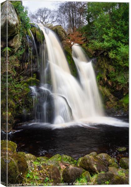 Posforth waterfall in the Bolton abbey estate Yorkshire dales 458 Canvas Print by PHILIP CHALK